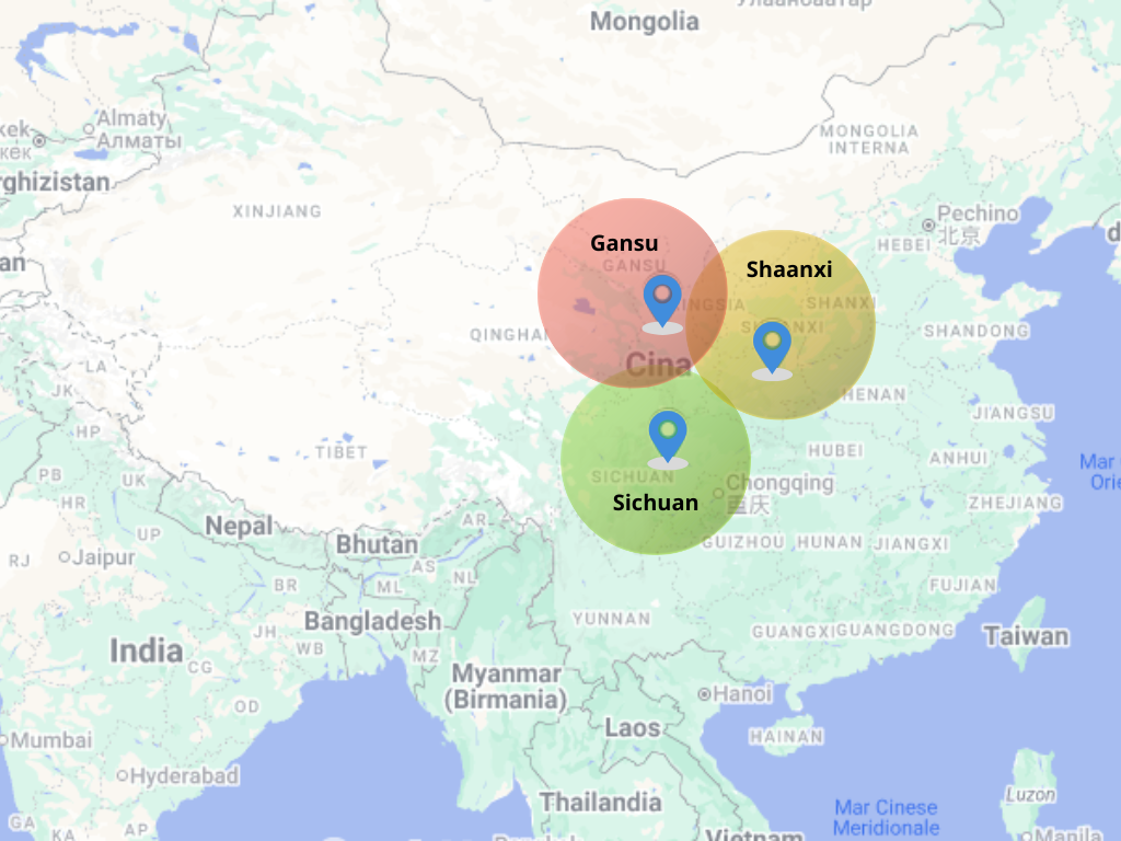 dovesi trovano i panda