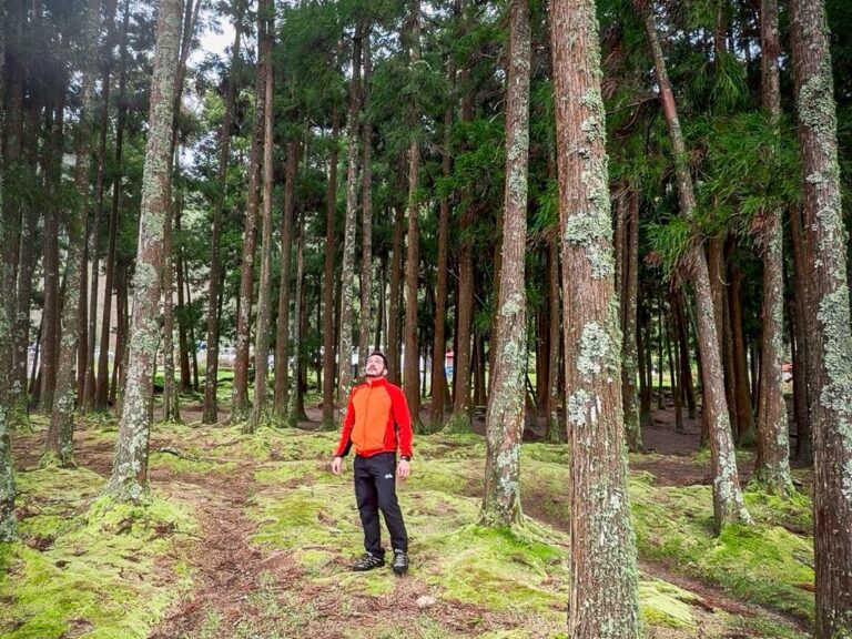cosa vedere a sao miguel