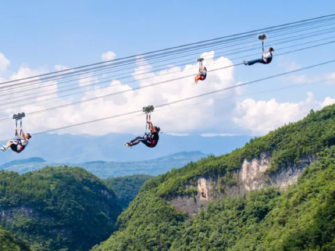 Zip Line